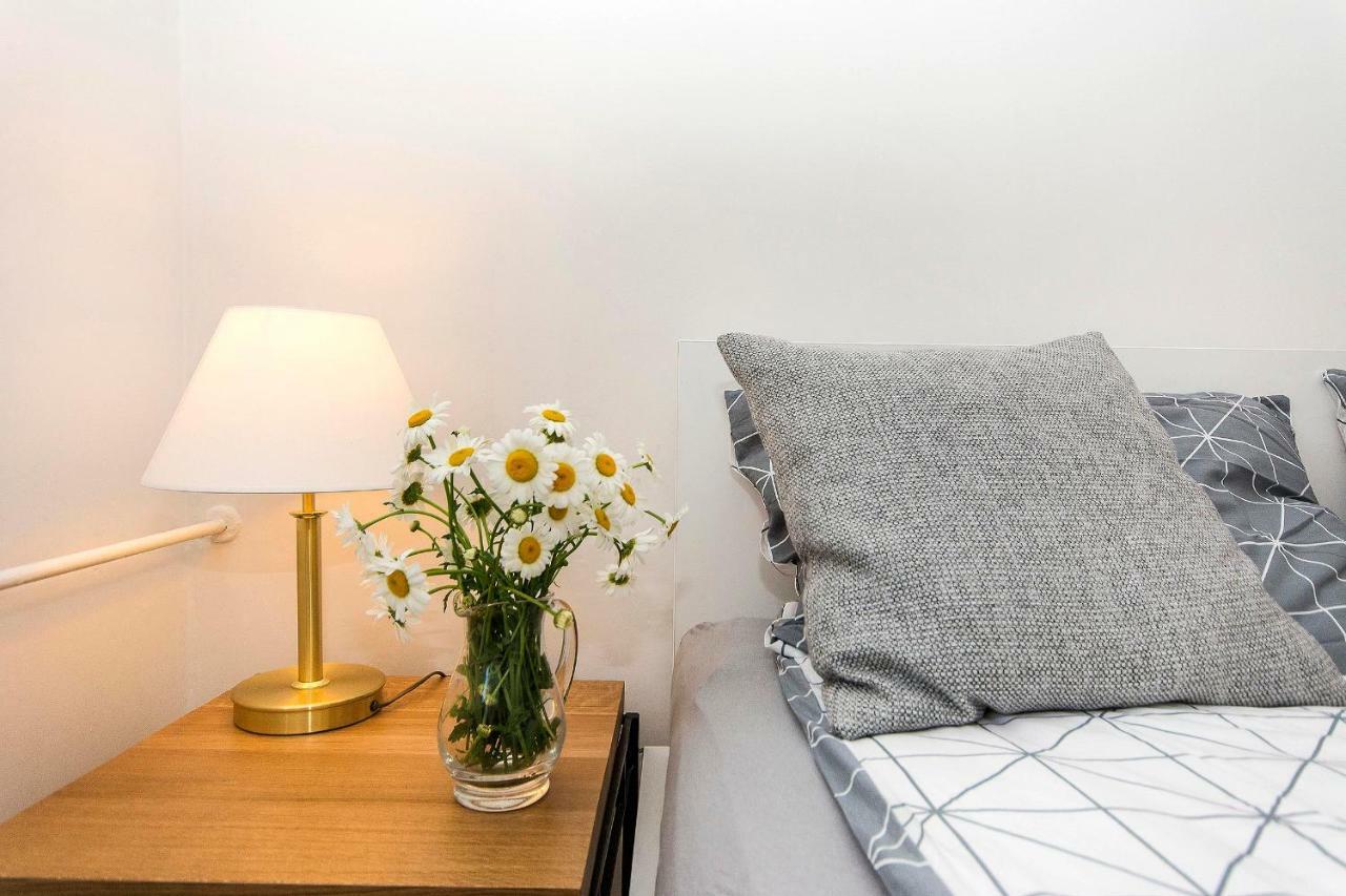 Sunny Suite In Center Of 索波特 外观 照片